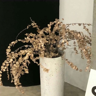 兽设四季场景绘制福瑞交流群